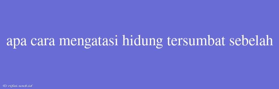 Apa Cara Mengatasi Hidung Tersumbat Sebelah