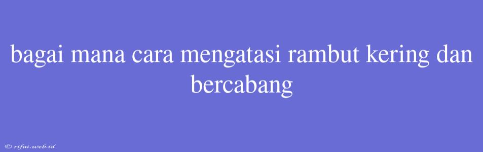 Bagai Mana Cara Mengatasi Rambut Kering Dan Bercabang