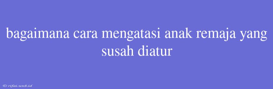 Bagaimana Cara Mengatasi Anak Remaja Yang Susah Diatur