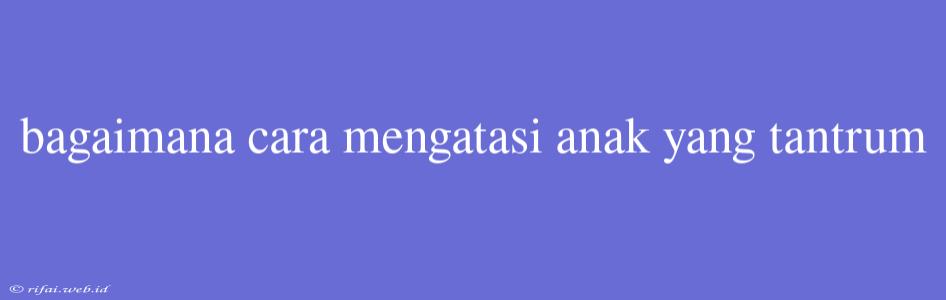 Bagaimana Cara Mengatasi Anak Yang Tantrum