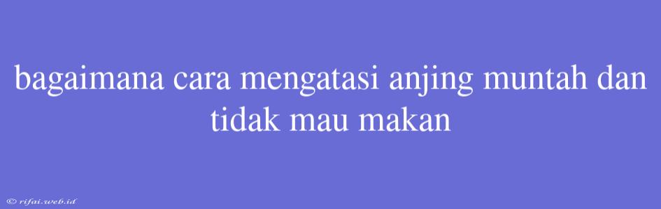 Bagaimana Cara Mengatasi Anjing Muntah Dan Tidak Mau Makan