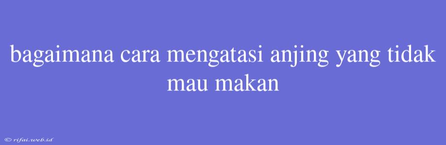 Bagaimana Cara Mengatasi Anjing Yang Tidak Mau Makan