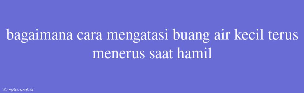 Bagaimana Cara Mengatasi Buang Air Kecil Terus Menerus Saat Hamil