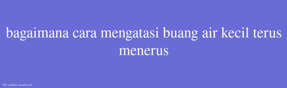 Bagaimana Cara Mengatasi Buang Air Kecil Terus Menerus