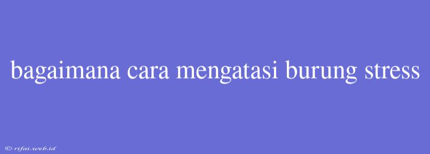 Bagaimana Cara Mengatasi Burung Stress