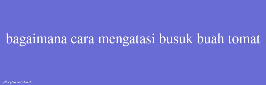 Bagaimana Cara Mengatasi Busuk Buah Tomat