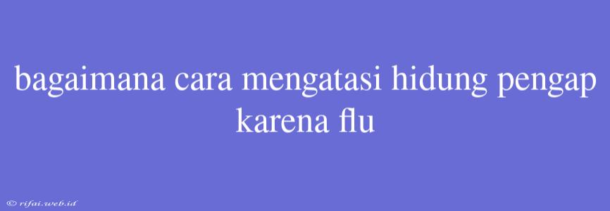 Bagaimana Cara Mengatasi Hidung Pengap Karena Flu