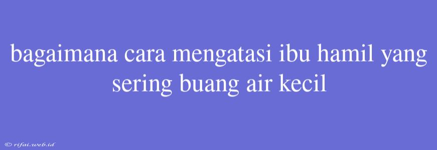 Bagaimana Cara Mengatasi Ibu Hamil Yang Sering Buang Air Kecil