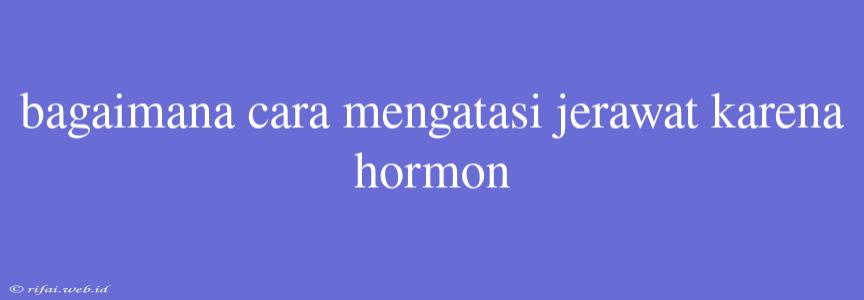 Bagaimana Cara Mengatasi Jerawat Karena Hormon