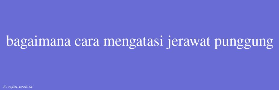 Bagaimana Cara Mengatasi Jerawat Punggung