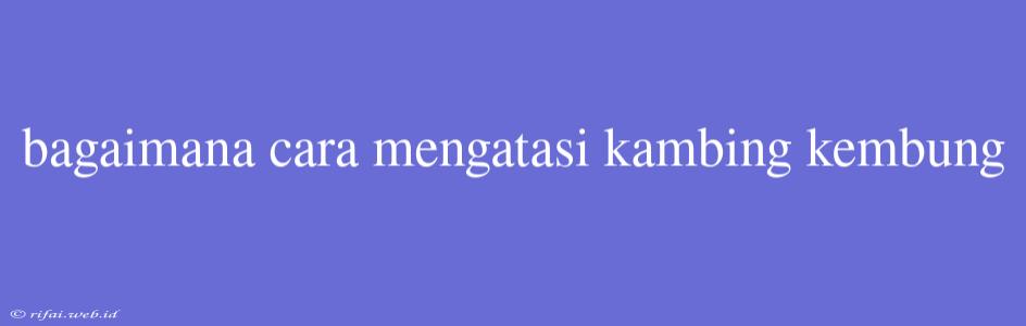 Bagaimana Cara Mengatasi Kambing Kembung