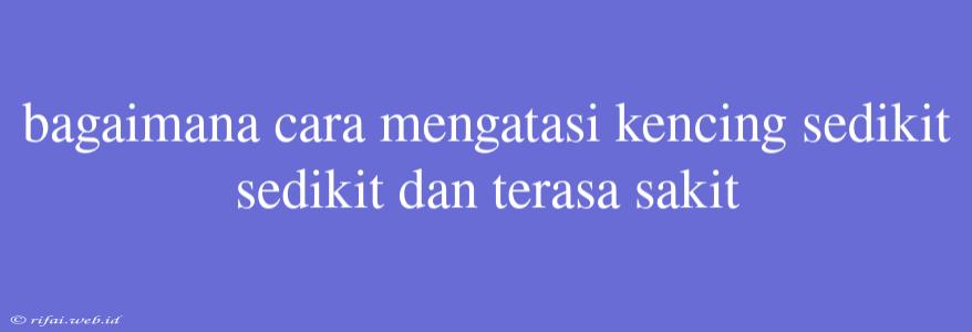 Bagaimana Cara Mengatasi Kencing Sedikit Sedikit Dan Terasa Sakit