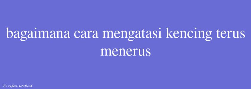 Bagaimana Cara Mengatasi Kencing Terus Menerus