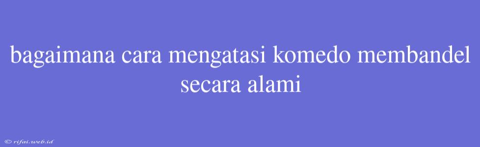 Bagaimana Cara Mengatasi Komedo Membandel Secara Alami