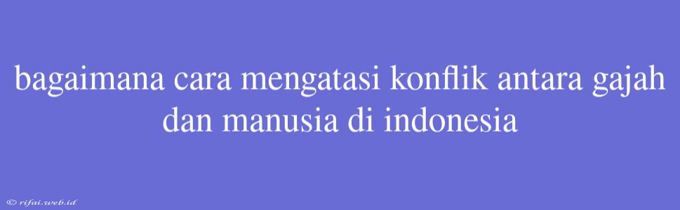 Bagaimana Cara Mengatasi Konflik Antara Gajah Dan Manusia Di Indonesia