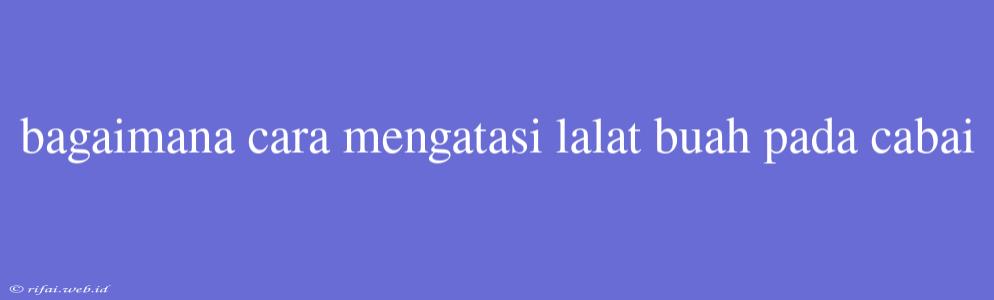 Bagaimana Cara Mengatasi Lalat Buah Pada Cabai