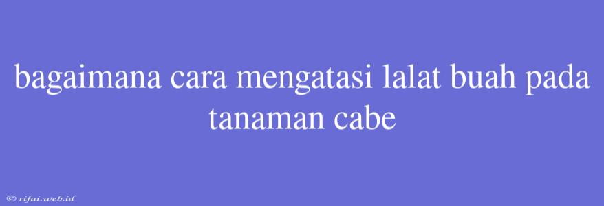 Bagaimana Cara Mengatasi Lalat Buah Pada Tanaman Cabe