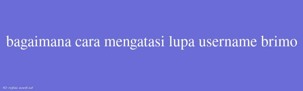 Bagaimana Cara Mengatasi Lupa Username Brimo