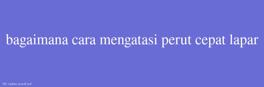 Bagaimana Cara Mengatasi Perut Cepat Lapar