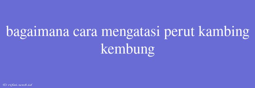 Bagaimana Cara Mengatasi Perut Kambing Kembung