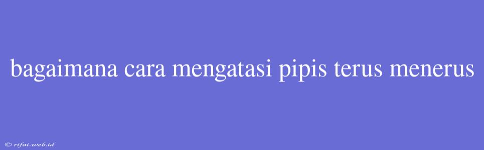 Bagaimana Cara Mengatasi Pipis Terus Menerus