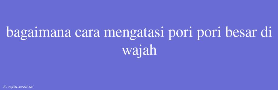 Bagaimana Cara Mengatasi Pori Pori Besar Di Wajah