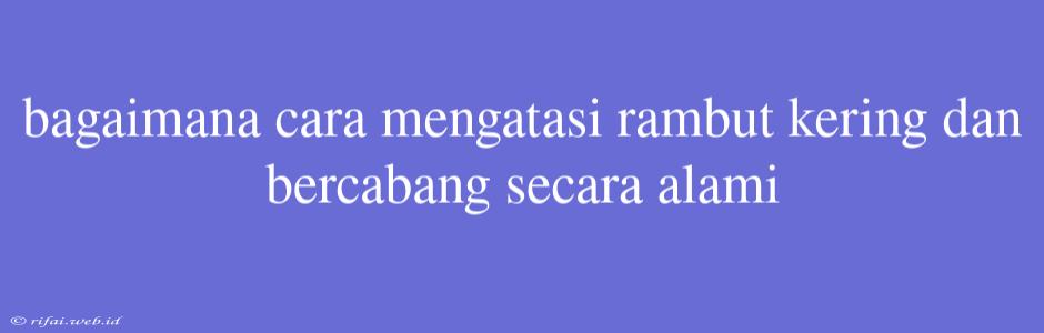 Bagaimana Cara Mengatasi Rambut Kering Dan Bercabang Secara Alami