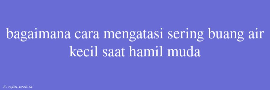 Bagaimana Cara Mengatasi Sering Buang Air Kecil Saat Hamil Muda