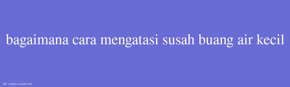 Bagaimana Cara Mengatasi Susah Buang Air Kecil