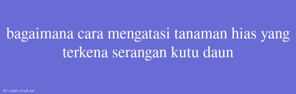 Bagaimana Cara Mengatasi Tanaman Hias Yang Terkena Serangan Kutu Daun