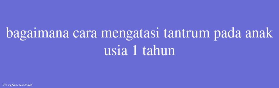 Bagaimana Cara Mengatasi Tantrum Pada Anak Usia 1 Tahun