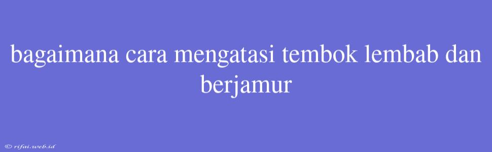 Bagaimana Cara Mengatasi Tembok Lembab Dan Berjamur