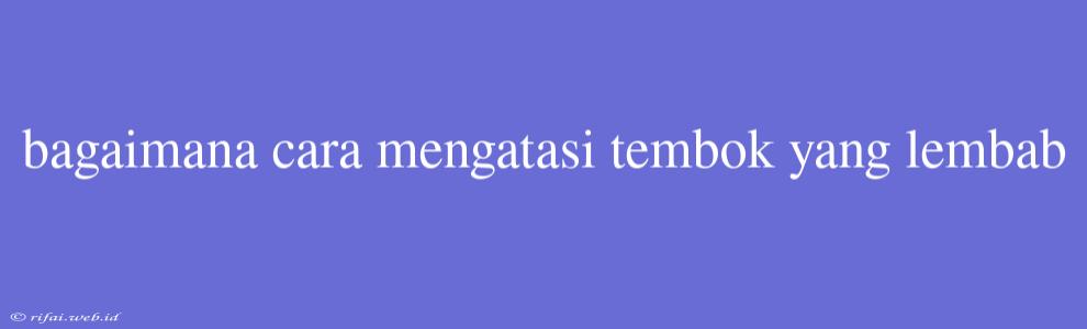 Bagaimana Cara Mengatasi Tembok Yang Lembab