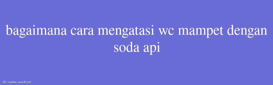 Bagaimana Cara Mengatasi Wc Mampet Dengan Soda Api