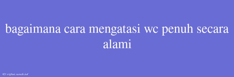 Bagaimana Cara Mengatasi Wc Penuh Secara Alami