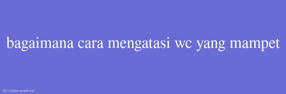 Bagaimana Cara Mengatasi Wc Yang Mampet