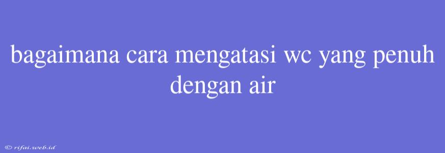 Bagaimana Cara Mengatasi Wc Yang Penuh Dengan Air