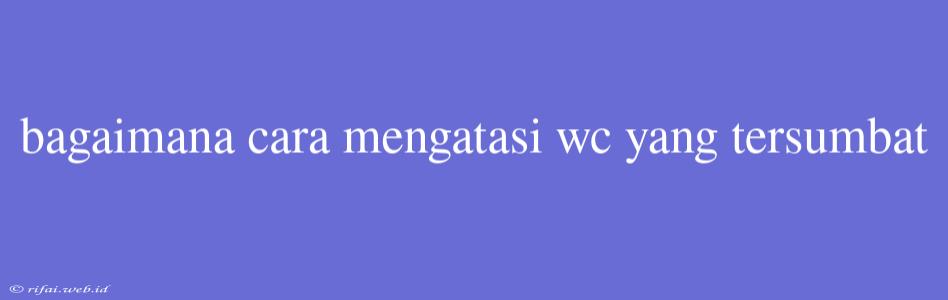 Bagaimana Cara Mengatasi Wc Yang Tersumbat