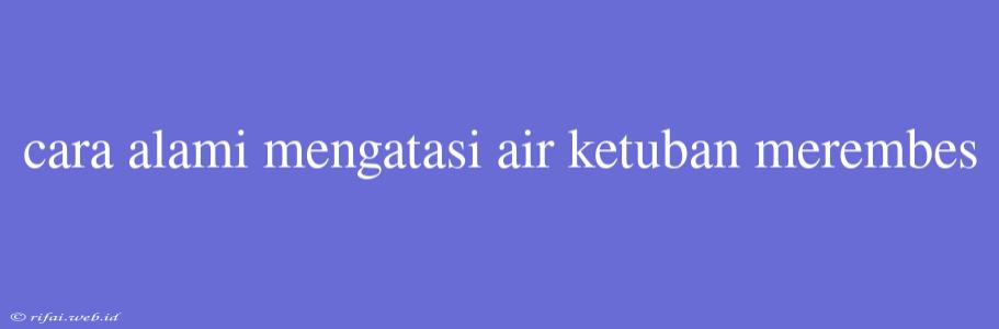 Cara Alami Mengatasi Air Ketuban Merembes