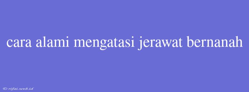 Cara Alami Mengatasi Jerawat Bernanah