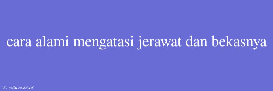 Cara Alami Mengatasi Jerawat Dan Bekasnya