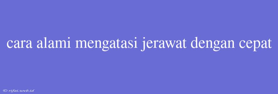 Cara Alami Mengatasi Jerawat Dengan Cepat