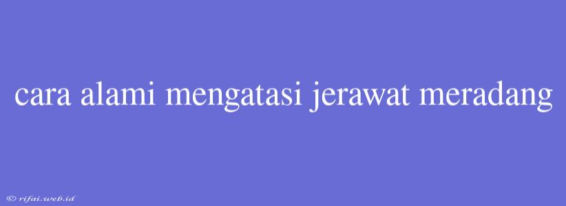 Cara Alami Mengatasi Jerawat Meradang