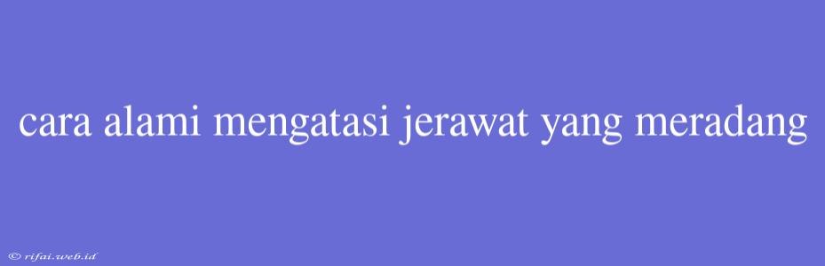 Cara Alami Mengatasi Jerawat Yang Meradang