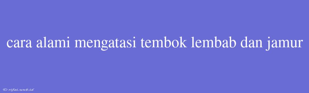 Cara Alami Mengatasi Tembok Lembab Dan Jamur