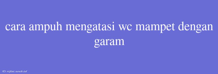 Cara Ampuh Mengatasi Wc Mampet Dengan Garam