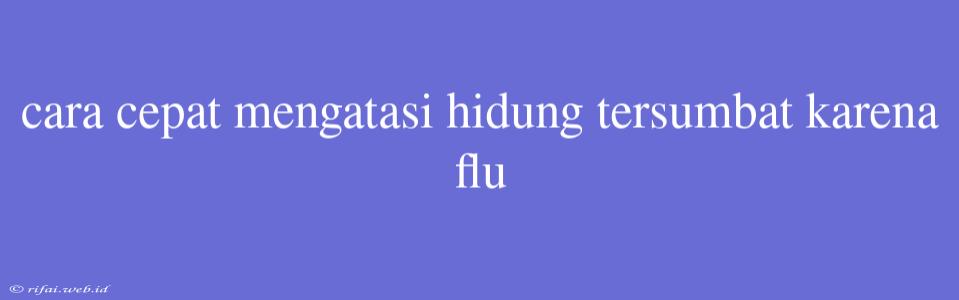 Cara Cepat Mengatasi Hidung Tersumbat Karena Flu