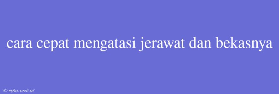 Cara Cepat Mengatasi Jerawat Dan Bekasnya