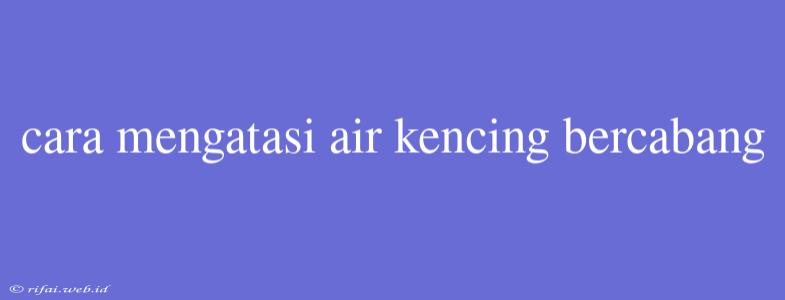 Cara Mengatasi Air Kencing Bercabang