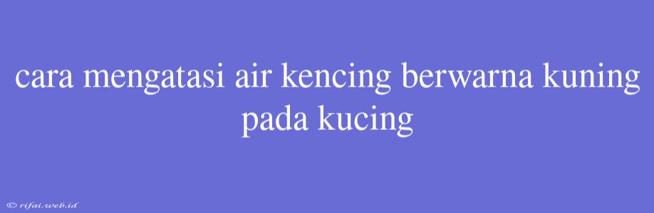 Cara Mengatasi Air Kencing Berwarna Kuning Pada Kucing